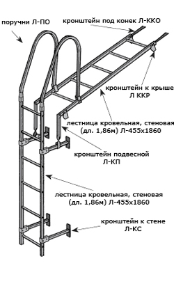 image007